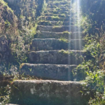 #Torreón. El Camino del Inca. Por César Garza
