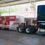 #GP. Gómez Palacio avanza en atención de perros en situación de calle*