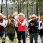 #Durango, referente forestal del país, se suma a la Jornada Nacional de Reforestación de la Presidenta Claudia con la plantación de 6 mil pinos