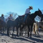 #Lerdo. CON BAILES, MÚSICA, ARTISTAS LOCALES, UNA RODADA VILLISTA Y CABALGATA, LA LOMA CELEBRA EL 113 ANIVERSARIO DE LA CONFORMACIÓN DE LA DIVISIÓN DEL NORTE*
